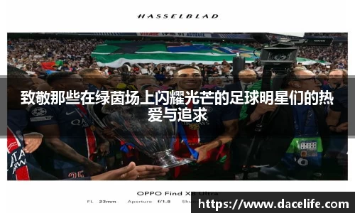 致敬那些在绿茵场上闪耀光芒的足球明星们的热爱与追求